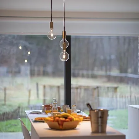 Le Moulin De Bosson - Belina