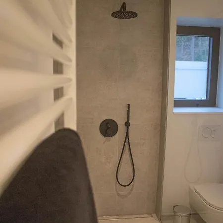 Le Moulin De Bosson - Belina